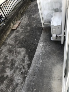 S__23494700.jpg