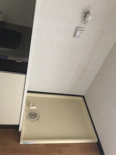 S__23494747.jpg