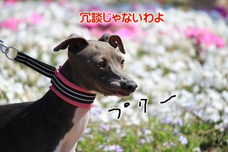 00666.jpg