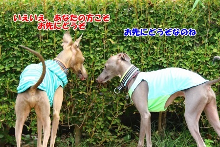01.jpg