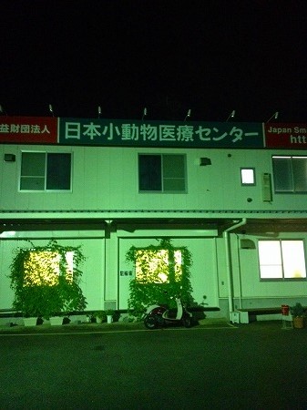 20.jpg