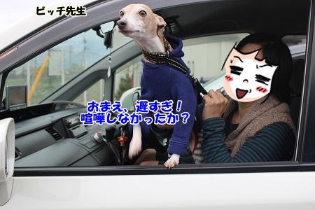 A003.jpg