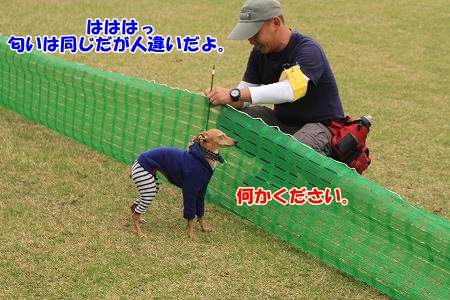 A010.jpg