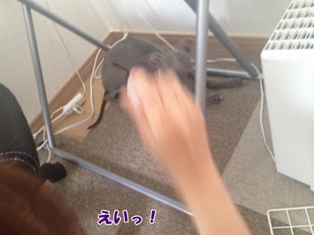 A015.jpg