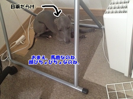 A016.jpg