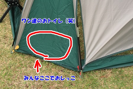 A028.jpg