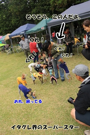 A042.jpg