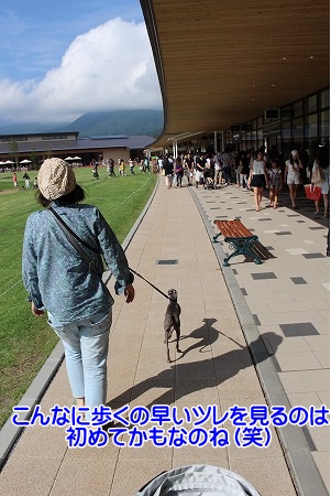 A065.jpg