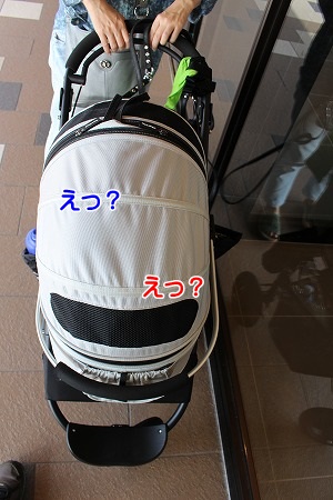 A085.jpg