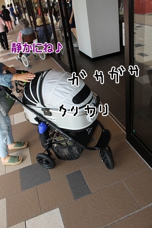 A086.jpg