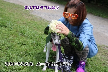 A090.jpg