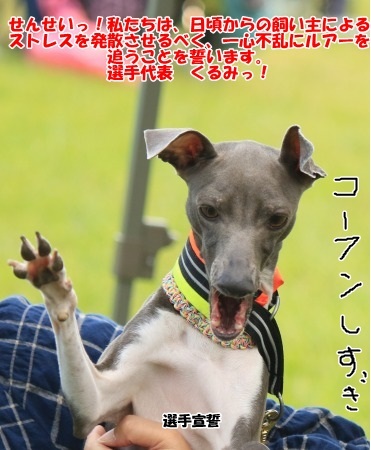 A648A.jpg