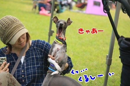 A658.jpg