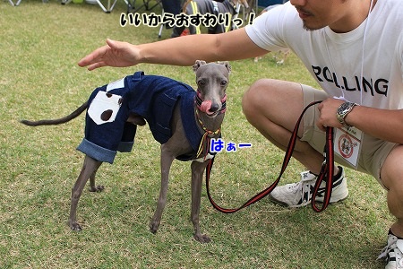 A845.jpg