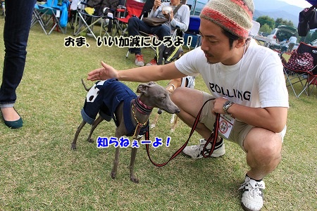 A849.jpg