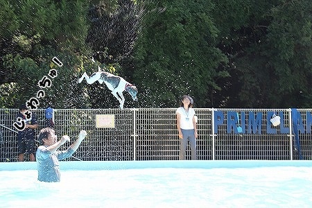 AAIMG_7158.jpg