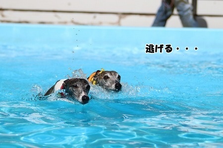 Aプライムランド涸沼 2017_09_03_77.jpg