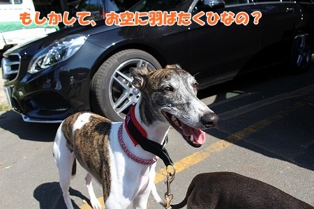 AIMG_7086.jpg
