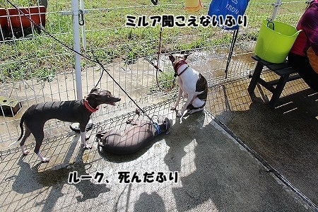 AIMG_7613.jpg