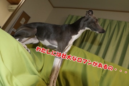 S031.jpg