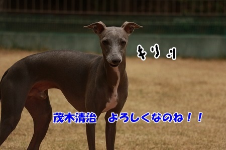 S221.jpg