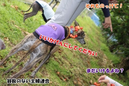 a070.jpg