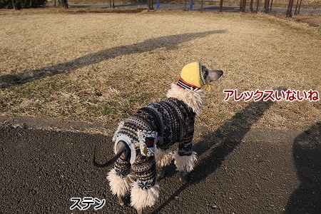 hamukatsuaina 058.jpg