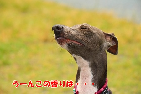 r153.jpg