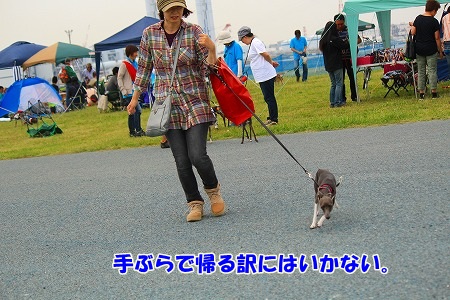 r243.jpg