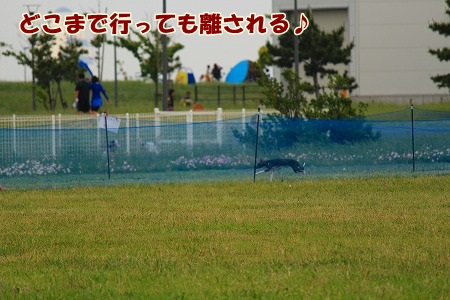 r356.jpg