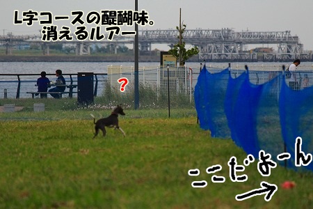 r360.jpg