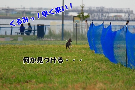 r363.jpg