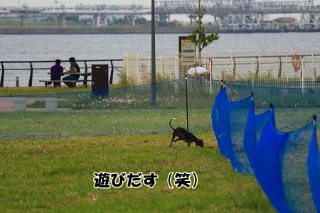 r364.jpg