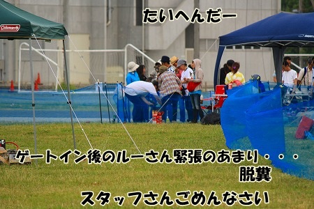 r378.jpg