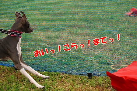 r681.jpg