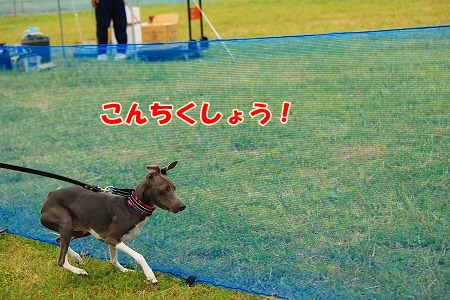 r686.jpg