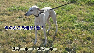 tt012.jpg