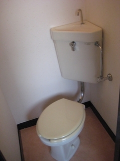 mini_IMG_1267.jpg