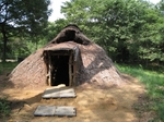 mini_IMG_0270.jpg