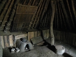 mini_IMG_0283.jpg